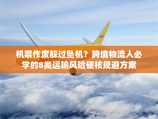 机票作废躲过坠机？跨境物流人必学的8类运输风险硬核规避方案