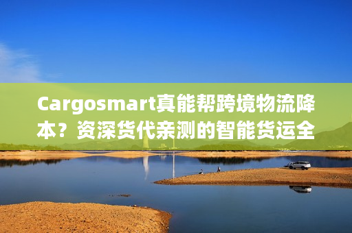Cargosmart真能帮跨境物流降本？资深货代亲测的智能货运全指南