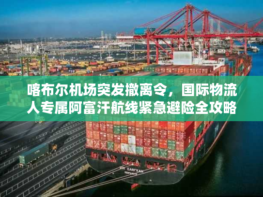 喀布尔机场突发撤离令，国际物流人专属阿富汗航线紧急避险全攻略