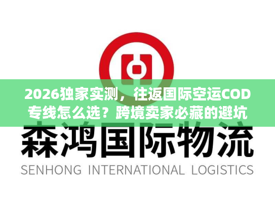 2026独家实测，往返国际空运COD专线怎么选？跨境卖家必藏的避坑提效指南