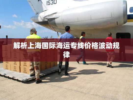 解析上海国际海运专线价格波动规律