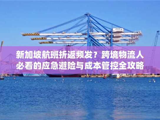 新加坡航班折返频发？跨境物流人必看的应急避险与成本管控全攻略