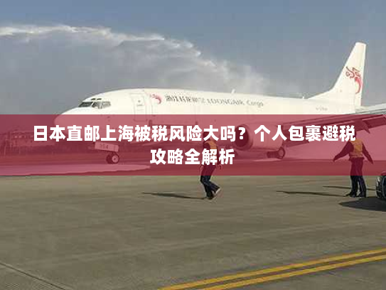 日本直邮上海被税风险大吗?个人包裹避税攻略全解析 日本直邮上海被税风险大吗?个人包裹避税攻略全解析