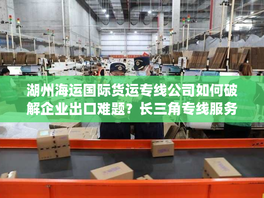 湖州海运国际货运专线公司如何破解企业出口难题？长三角专线服务深度解析