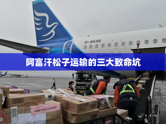 阿富汗松子运输的三大致命坑 阿富汗松子运输的三大致命坑