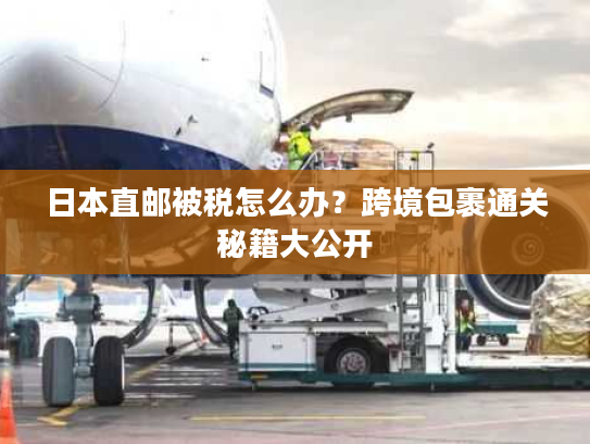 日本直邮被税怎么办?跨境包裹通关秘籍大公开 日本直邮被税怎么办?跨境包裹通关秘籍大公开