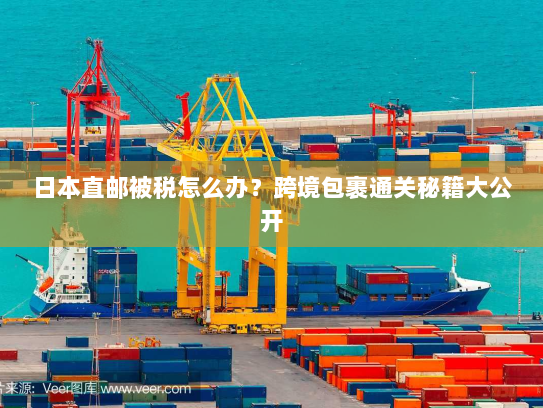 日本直邮被税怎么办？跨境包裹通关秘籍大公开