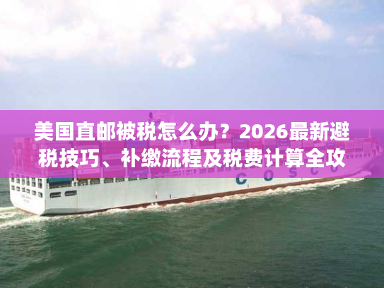 美国直邮被税怎么办？2026最新避税技巧、补缴流程及税费计算全攻略