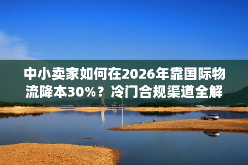 中小卖家如何在2026年靠国际物流降本30%？冷门合规渠道全解锁