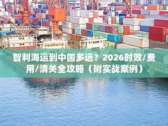 智利海运到中国多远？2026时效/费用/清关全攻略（附实战案例）