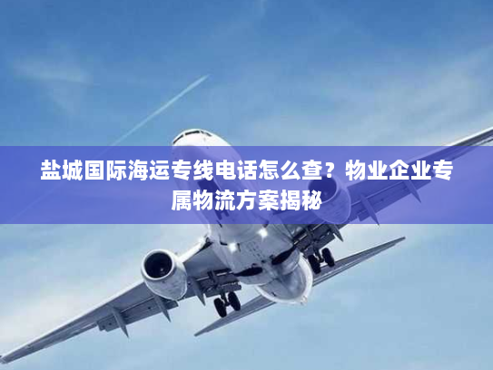 盐城国际海运专线电话怎么查？物业企业专属物流方案揭秘