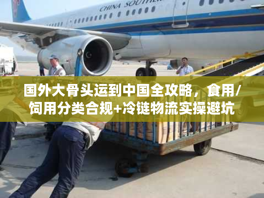 国外大骨头运到中国全攻略，食用/饲用分类合规+冷链物流实操避坑