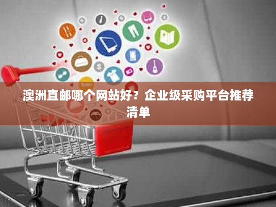 澳洲直邮哪个网站好？企业级采购平台推荐清单