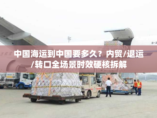 中国海运到中国要多久？内贸/退运/转口全场景时效硬核拆解