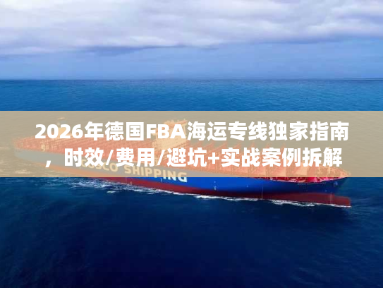 2026年德国FBA海运专线独家指南，时效/费用/避坑+实战案例拆解
