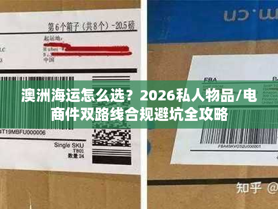 澳洲海运怎么选？2026私人物品/电商件双路线合规避坑全攻略