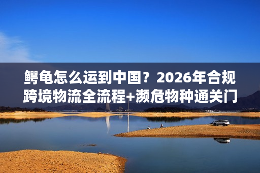 鳄龟怎么运到中国?2026年合规跨境物流全流程+濒危物种通关门道 鳄龟怎么运到中国?2026年合规跨境物流全流程+濒危物种通关门道
