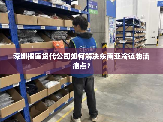 深圳榴莲货代公司如何解决东南亚冷链物流痛点? 深圳榴莲货代公司如何解决东南亚冷链物流痛点?