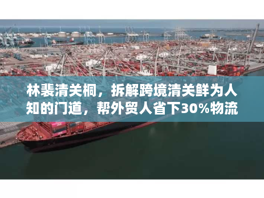 林裴清关桐，拆解跨境清关鲜为人知的门道，帮外贸人省下30%物流成本