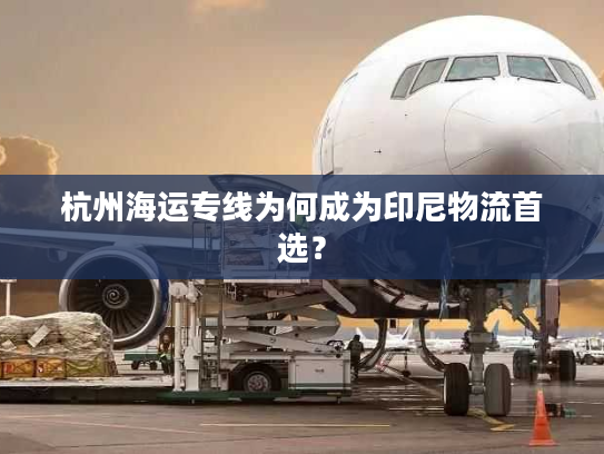 杭州海运专线为何成为印尼物流首选? 杭州海运专线为何成为印尼物流首选?