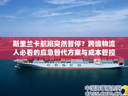 斯里兰卡航班突然暂停？跨境物流人必看的应急替代方案与成本管控全攻略