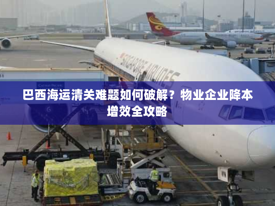 巴西海运清关难题如何破解？物业企业降本增效全攻略