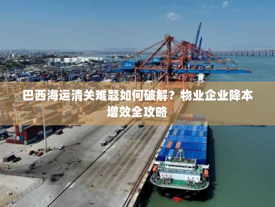 巴西海运清关难题如何破解？物业企业降本增效全攻略