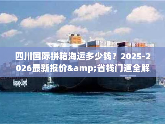 四川国际拼箱海运多少钱？2025-2026最新报价&省钱门道全解析