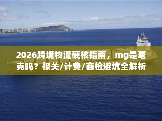 2026跨境物流硬核指南，mg是毫克吗？报关/计费/商检避坑全解析
