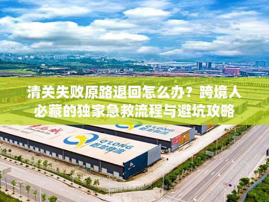 清关失败原路退回怎么办？跨境人必藏的独家急救流程与避坑攻略
