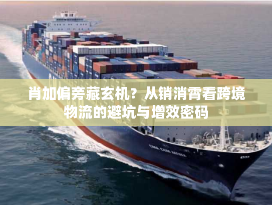 肖加偏旁藏玄机？从销消霄看跨境物流的避坑与增效密码