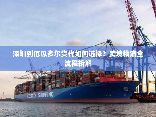 深圳到厄瓜多尔货代如何选择？跨境物流全流程拆解