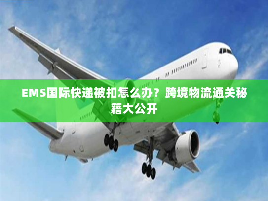 EMS国际快递被扣怎么办?跨境物流通关秘籍大公开 EMS国际快递被扣怎么办?跨境物流通关秘籍大公开