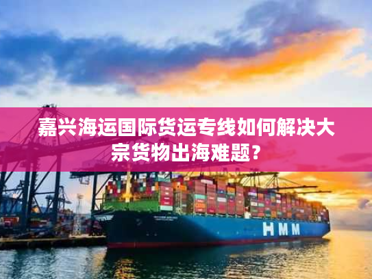 嘉兴海运国际货运专线如何解决大宗货物出海难题？