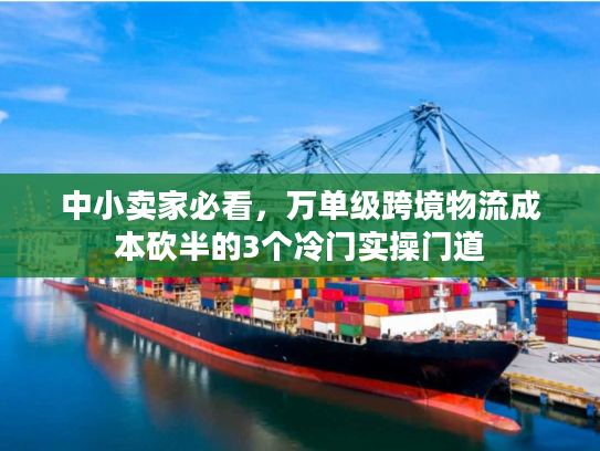中小卖家必看，万单级跨境物流成本砍半的3个冷门实操门道