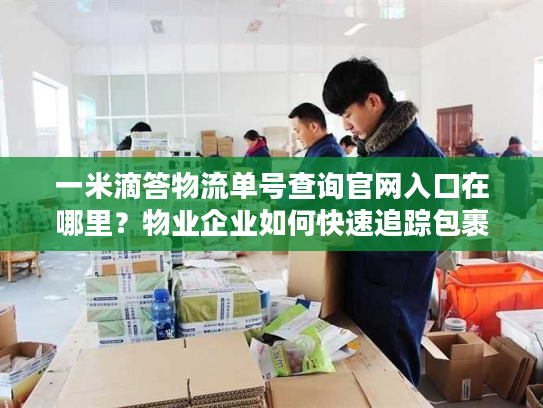 一米滴答物流单号查询官网入口在哪里？物业企业如何快速追踪包裹