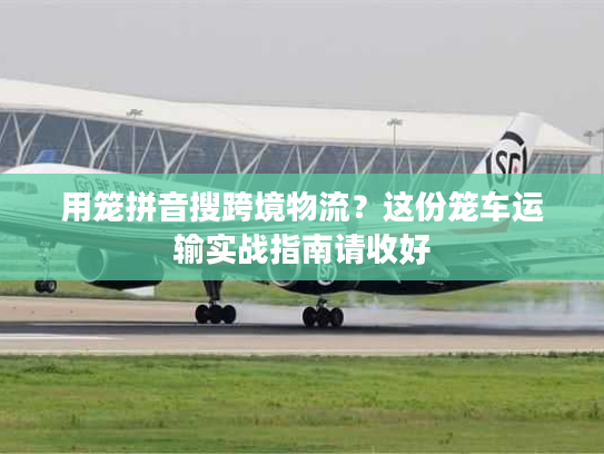 用笼拼音搜跨境物流？这份笼车运输实战指南请收好