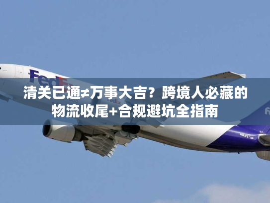 清关已通≠万事大吉？跨境人必藏的物流收尾+合规避坑全指南