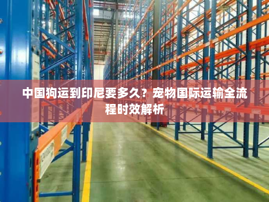 中国狗运到印尼要多久？宠物国际运输全流程时效解析