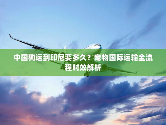 中国狗运到印尼要多久？宠物国际运输全流程时效解析