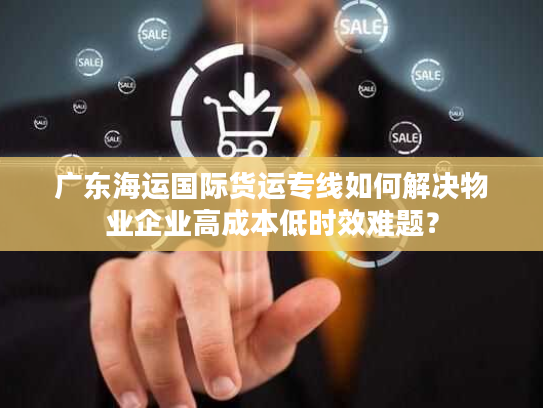 广东海运国际货运专线如何解决物业企业高成本低时效难题？