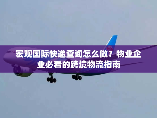 宏观国际快递查询怎么做?物业企业必看的跨境物流指南 宏观国际快递查询怎么做?物业企业必看的跨境物流指南