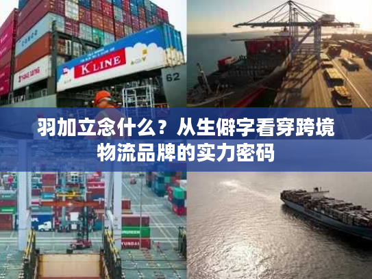 羽加立念什么？从生僻字看穿跨境物流品牌的实力密码