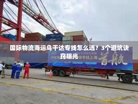 国际物流海运乌干达专线怎么选？3个避坑诀窍曝光