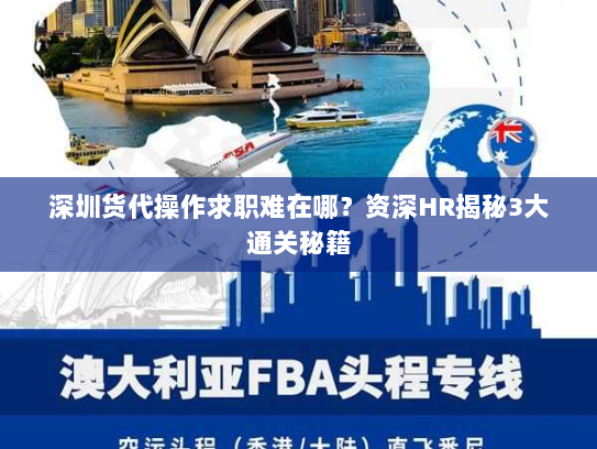 深圳货代操作求职难在哪？资深HR揭秘3大通关秘籍