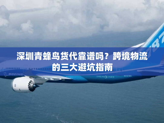 深圳青蜂鸟货代靠谱吗？跨境物流的三大避坑指南