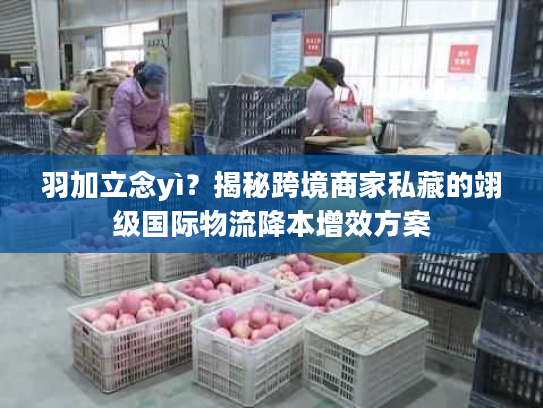 羽加立念yì？揭秘跨境商家私藏的翊级国际物流降本增效方案