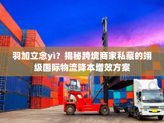 羽加立念yì？揭秘跨境商家私藏的翊级国际物流降本增效方案