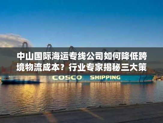 中山国际海运专线公司如何降低跨境物流成本？行业专家揭秘三大策略