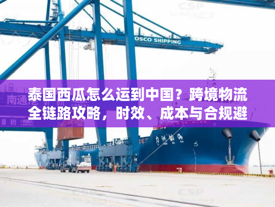 泰国西瓜怎么运到中国？跨境物流全链路攻略，时效、成本与合规避坑